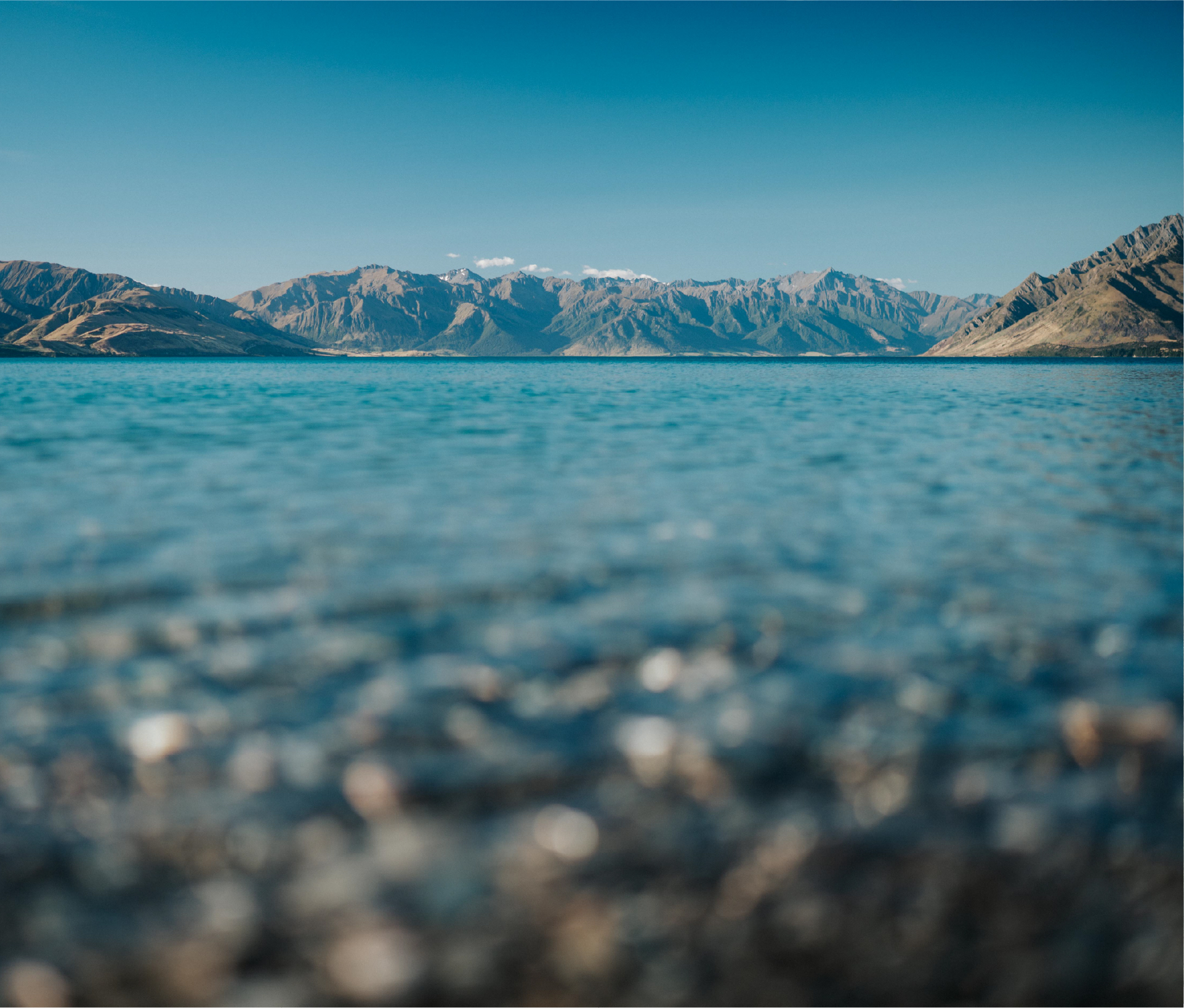 湖面の近景